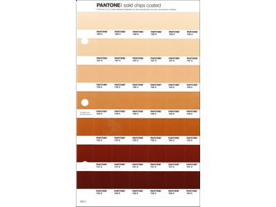 PANTONE PMS SOLID CHIPS ERSATZSEITE 228C 1