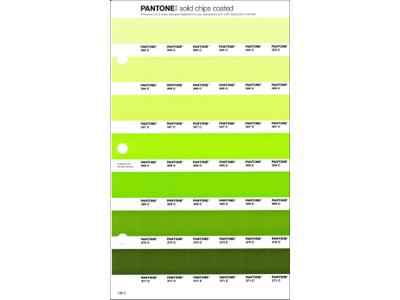 PANTONE PMS SOLID CHIPS ERSATZSEITE 196C 1