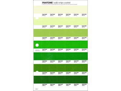 PANTONE PMS SOLID CHIPS ERSATZSEITE 195C 1