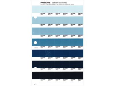 PANTONE PMS SOLID CHIPS ERSATZSEITE 239C 1