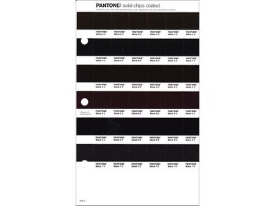 PANTONE PMS SOLID CHIPS ERSATZSEITE 249C 1