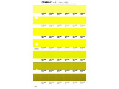 PANTONE PMS SOLID CHIPS ERSATZSEITE 209C 1
