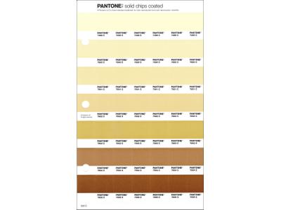 PANTONE PMS SOLID CHIPS ERSATZSEITE 223C 1