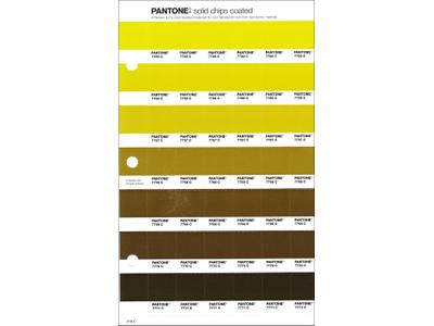 PANTONE PMS SOLID CHIPS ERSATZSEITE 219C 1