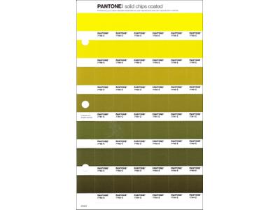 PANTONE PMS SOLID CHIPS ERSATZSEITE 218C 1