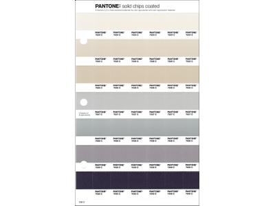 PANTONE PMS SOLID CHIPS ERSATZSEITE 236C 1