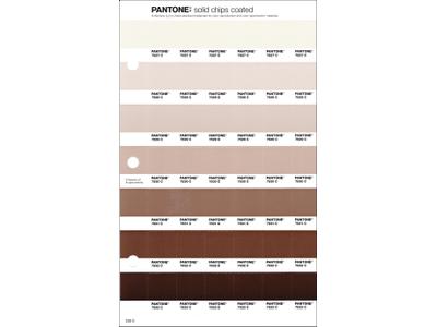 PANTONE PMS SOLID CHIPS ERSATZSEITE 235C 1