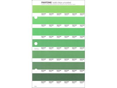 PANTONE PMS SOLID CHIPS ERSATZSEITE 189U 1