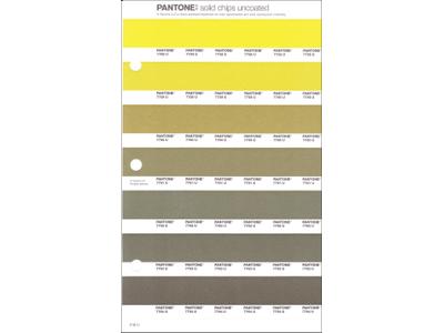 PANTONE PMS SOLID CHIPS ERSATZSEITE 218U 1