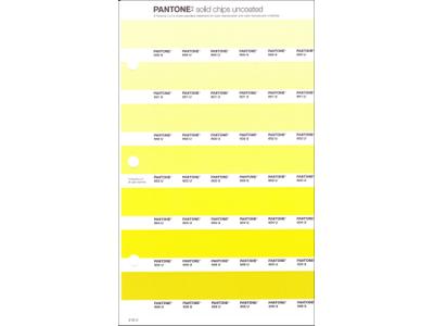 PANTONE PMS SOLID CHIPS ERSATZSEITE 213U 1
