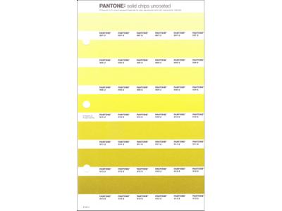PANTONE PMS SOLID CHIPS ERSATZSEITE 214U 1