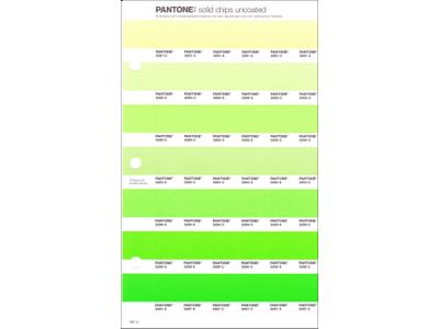 PANTONE PMS SOLID CHIPS ERSATZSEITE 197U 1