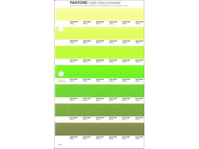 PANTONE PMS SOLID CHIPS ERSATZSEITE 198U 1