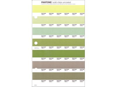 PANTONE PMS SOLID CHIPS ERSATZSEITE 205U 1