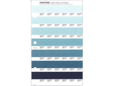 PANTONE PMS SOLID CHIPS VERVANGINGSPAGINA 161U 1