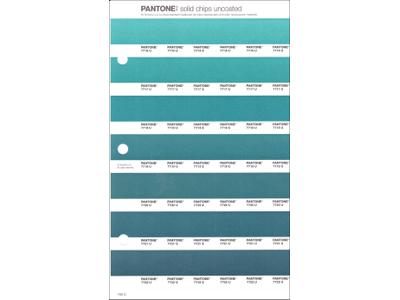 PANTONE PMS SOLID CHIPS ERSATZSEITE 163U 1