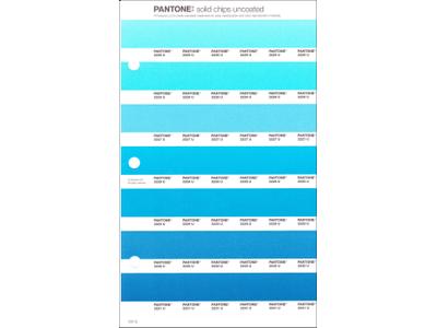 PANTONE PMS SOLID CHIPS ERSATZSEITE 157U 1