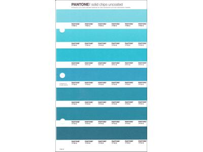 PANTONE PMS SOLID CHIPS ERSATZSEITE 154U 1