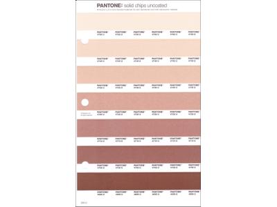 PANTONE PMS SOLID CHIPS ERSATZSEITE 233U 1
