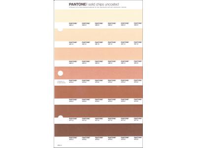 PANTONE PMS SOLID CHIPS ERSATZSEITE 234U 1