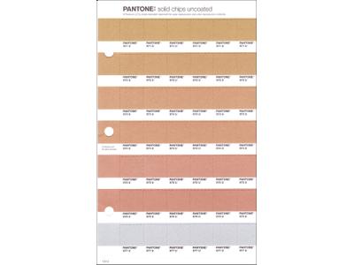 PANTONE PMS SOLID CHIPS ERSATZSEITE 1.6U 1