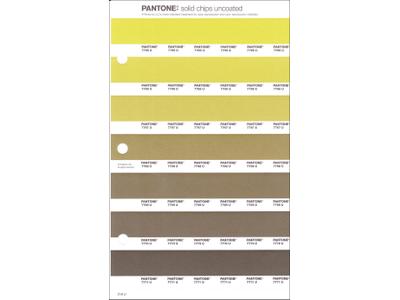 PANTONE PMS SOLID CHIPS ERSATZSEITE 219U 1