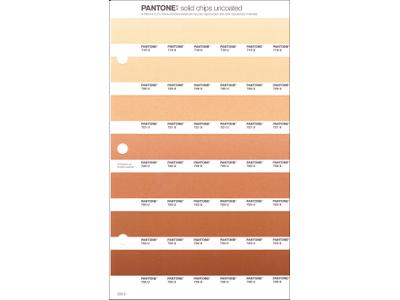PANTONE PMS SOLID CHIPS ERSATZSEITE 226U 1