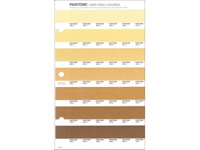 PANTONE PMS SOLID CHIPS ERSATZSEITE 224U 1