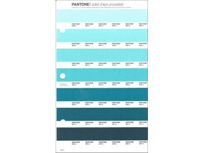 PANTONE PMS SOLID CHIPS ERSATZSEITE 169U 1