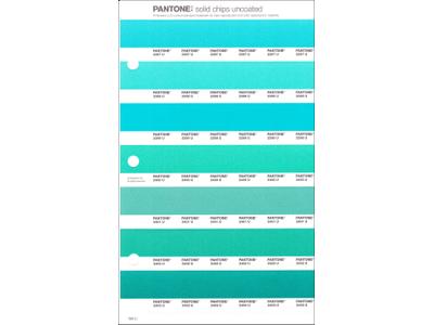 PANTONE PMS SOLID CHIPS ERSATZSEITE 166U 1