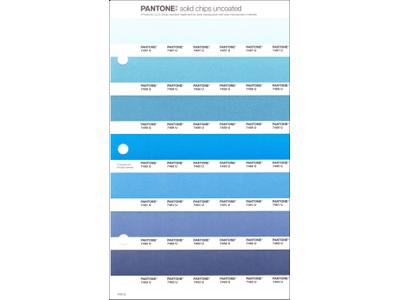 PANTONE PMS SOLID CHIPS ERSATZSEITE 145U 1