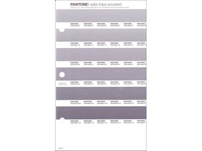 PANTONE PMS SOLID CHIPS ERSATZSEITE 248U 1