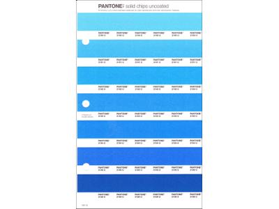 PANTONE PMS SOLID CHIPS ERSATZSEITE 141U 1