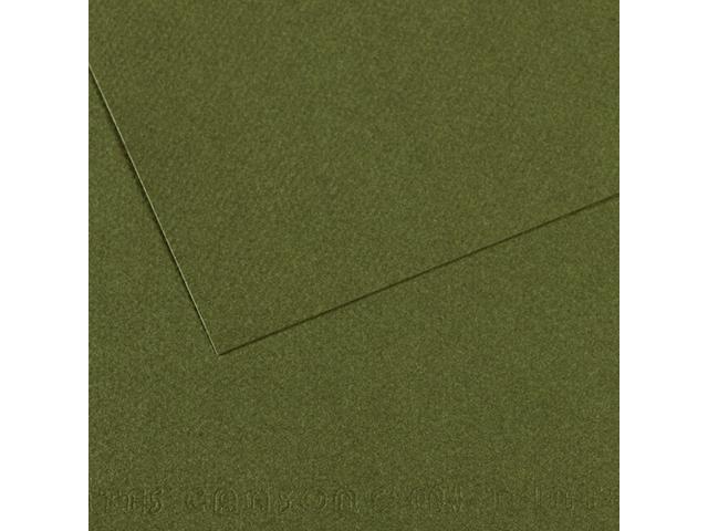 MI-TEINTES 50X65CM 160GR. 448 DUNKELGRâ”ŒN 1