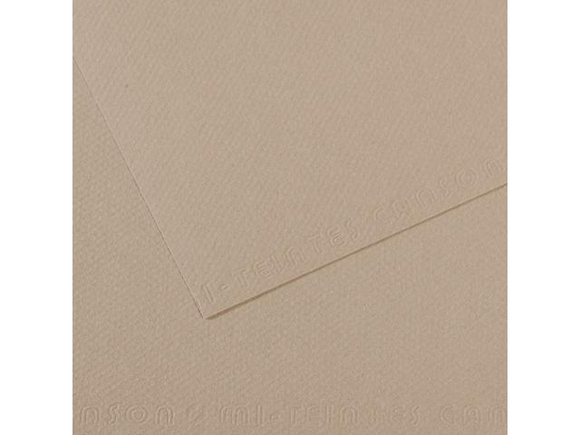 MI-TEINTES 50X65CM 160GR. 122 GRAU 1