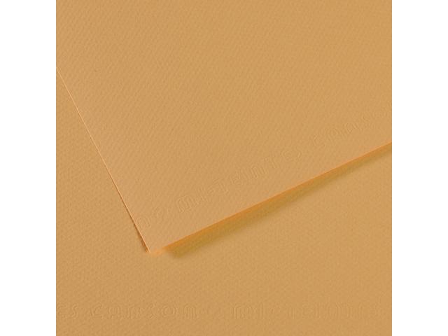 MI-TEINTES 50X65CM 160GR. 340 ANTIK 1