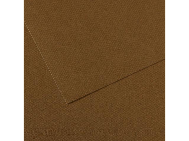MI-TEINTES 50X65CM 160GR. 501 DUNKELBRAUN 1