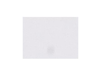ARA ACRYLVERF 150ML 001 TITANIUM WHITE 1