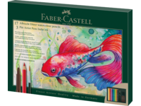 FABER-CASTELL DÜRER AQUARELLFARBSTIFTE & TUSCHESTIFTE SET 21X
