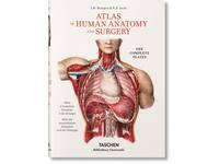 BOURGERY. ATLAS OF HUMAN ANATOMY AND SURGERY - J.M. LE MINOR, H. SIC