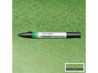 WINSOR & NEWTON PROMARKER WATERCOLOUR 311 HOOKERS GREEN
