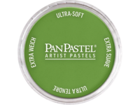 PANPASTEL 9ML YELLOW GREEN SHADE 690.3