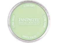 PANPASTEL 9ML YELLOW GREEN TINT 690.8