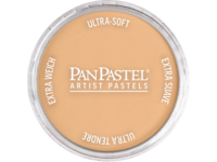 PANPASTEL 9ML RAW SIENNA LIGHT 710.7