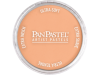 PANPASTEL 9ML BURNT SIENNA LIGHT 740.7