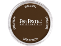PANPASTEL 9ML BURNT UMBER SHADE 760.3