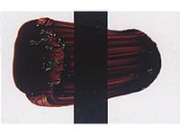 TRI-ART ACRYLFARBE 250ML S6 TRANPARENT BRAUN