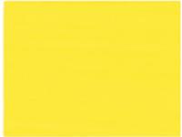GAMBLIN CONSERVATION COLORS 1/2PAN CADMIUM LEMON YORK OP=OP