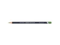 DERWENT PROCOLOUR BUNTSTIFT 50 MOSS GREEN