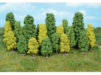 LOOFBOMEN VAN 4,0-8,0CM 20STUKS 01318